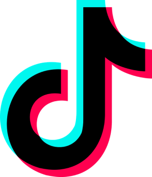 The TikTok Logo